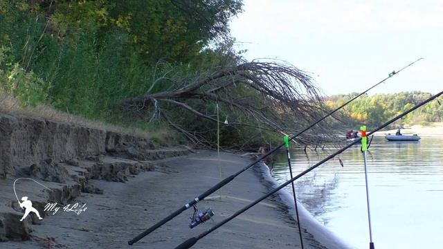 Плохая рыбалка ч 4 Ахтуба. Закидушки, донки, бойлы, макушатник. ГДЕ КЛЕВ??? смотреть онлайн
