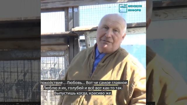 Голубевод Владимир Пузырев рассказал об исчезающем увлечении мензелинцев смотреть онлайн
