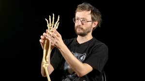 "Любовь в Каменном веке"-Станислав Дробышевский