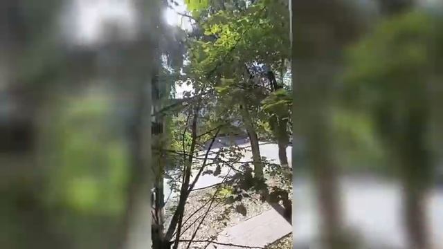 2-х комн. кв-ра, мкр. Горняк, 33, 2 этаж смотреть онлайн