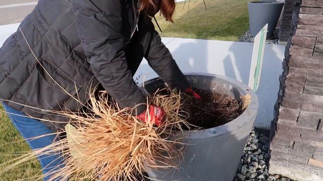 Spreading Some Holiday Cheer with a Few Simple Winter Containers! 🎅🎄🥰 // Garden Answer смотреть онлайн