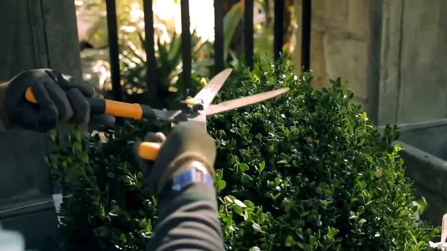 How to Use Hedge Shears : Garden Tool Guides смотреть онлайн