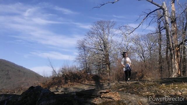 #хоббихорсинг #лес #весна #хоббихорс Breezeblocks/ Поездка в лес / хоббихорсинг (KHT ALEON)? смотреть онлайн