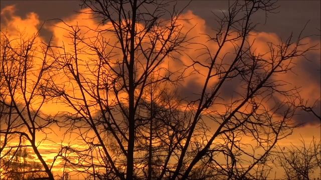 видео медитация. рассвет. смотреть онлайн