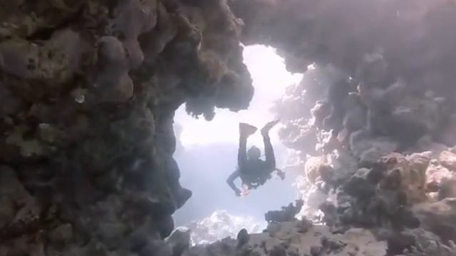 Safaga Middle Reef 11-13 Mar Liveaboard 2021 смотреть онлайн