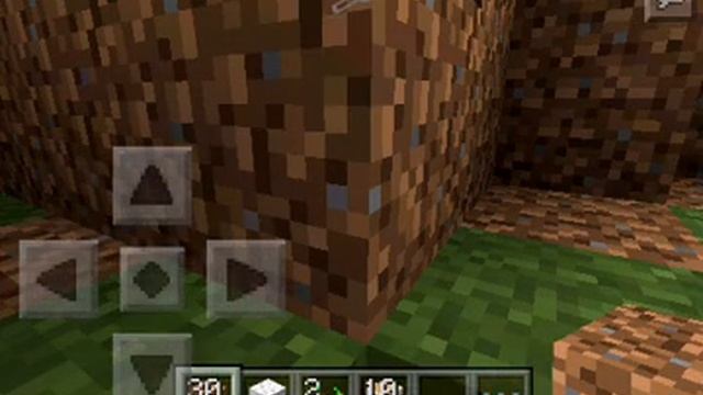 Выживание воробушка