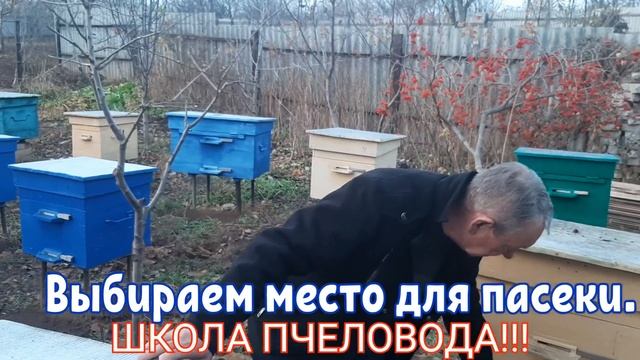 ПАСЕКА.ПЧЕЛОВОДСТВО. КАК ПРАВИЛЬНО ВЫБРАТЬ МЕСТО ДЛЯ ПАСЕКИ. смотреть онлайн