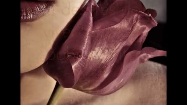 Sonetos de Antero de Quental смотреть онлайн