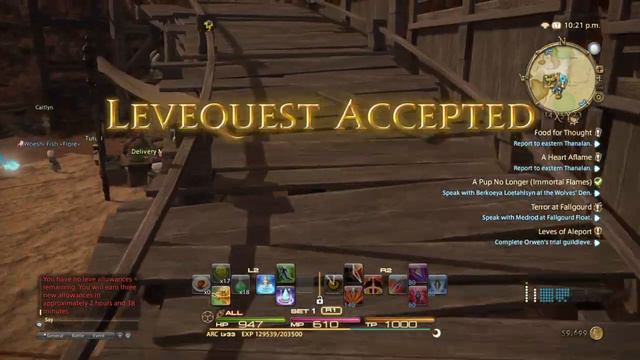 FINAL FANTASY XIV - Guild leve Duty seal farming Archer смотреть онлайн