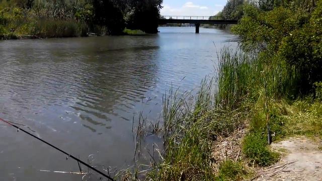 "Огуречники" на рыбалке. Такая вот на Дону природа.Стародонье смотреть онлайн