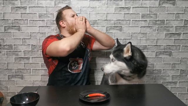 ПЁСИЙ ЧЕЛЛЕНДЖ/СОЖРИ ИЛИ БУДЕШЬ НАКАЗАН смотреть онлайн