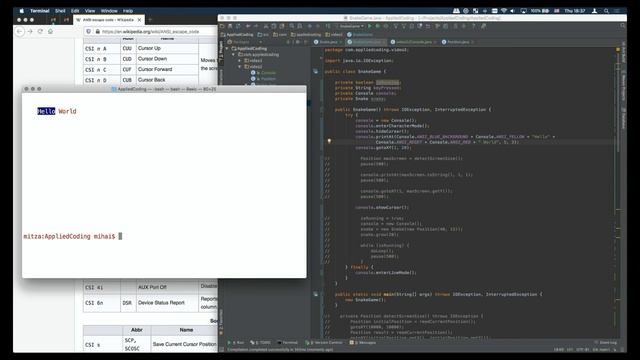 ANSI Terminal for Java смотреть онлайн