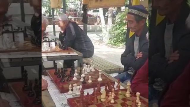 Турнир ветеранов и молодежи смотреть онлайн