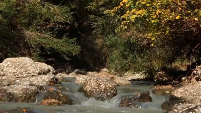 Forest stream with rapids. Nature sounds (10 hours) White Noise for sleep. смотреть онлайн