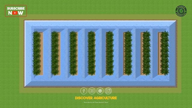 Integrated COCONUT and FISH Farming | Integrated Farming System Planning & Ideas | Farm Design смотреть онлайн