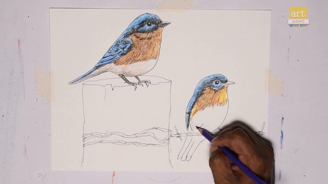 How to draw 3d bird on paper II 3D Drawing Trick Art II #episode 07 II By Art JanaG смотреть онлайн