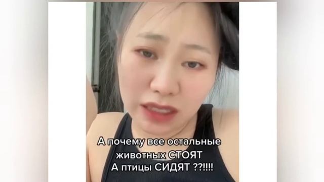 Почему Русский язык такой сложный смотреть онлайн