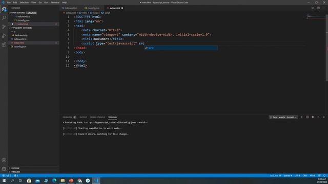 TypeScript Tutorial 8 quick start 7 Finished typescript environment set up by create html to conne смотреть онлайн