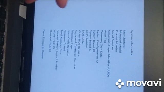 Подарки просто так не даряца ? смотреть онлайн