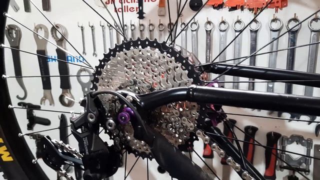 trek marlin 5 (2019) personalizada смотреть онлайн