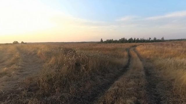 Покатушка по полям на Мопед (мотик) "Альфа" LARGO смотреть онлайн