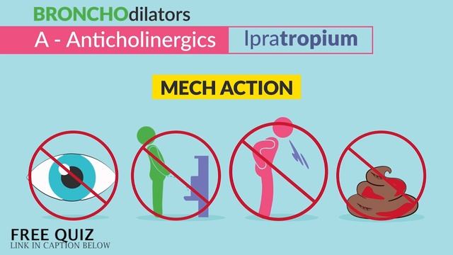 Pharmacology - Ipratropium - Anticholinergics Respiratory Drugs nursing RN PN NC.mp4 смотреть онлайн