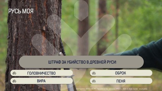 Как назывался штраф за убийство в Древней Руси? смотреть онлайн