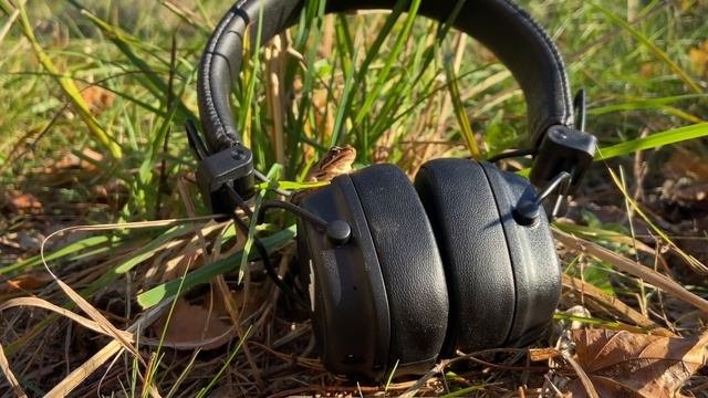 Краткий обзор на наушники Marshall Major IV [Пару Слов] смотреть онлайн