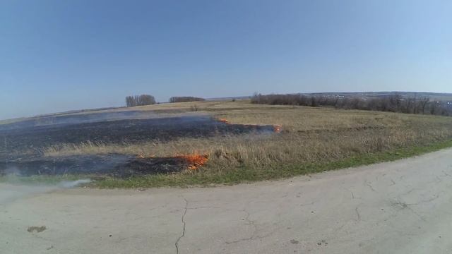 Теплая апрельская покатушка и гадюка. ВелоЛиски. Лиски смотреть онлайн
