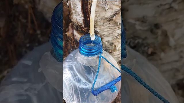 Анна Владимировна