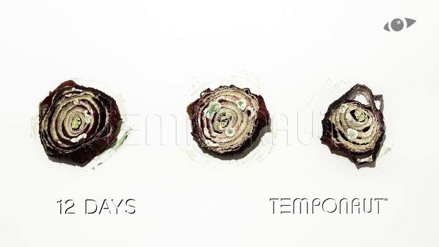 Onion Rings Time Lapse смотреть онлайн
