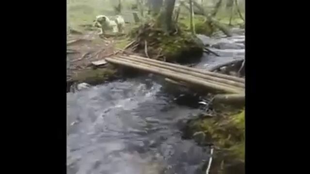 Кагда купил новые кросы смотреть онлайн