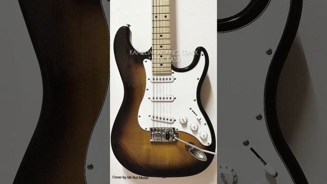 Kamelia Backing Track tanpa bass смотреть онлайн
