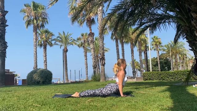Виньяса Йога - интенсивная практика 20 мин. - Vinyasa yoga / Short intensive 20 min. practice смотреть онлайн