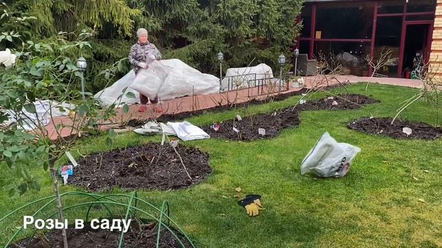 УКРЫТИЕ РОЗ, КАК ПРАВИЛЬНО? смотреть онлайн