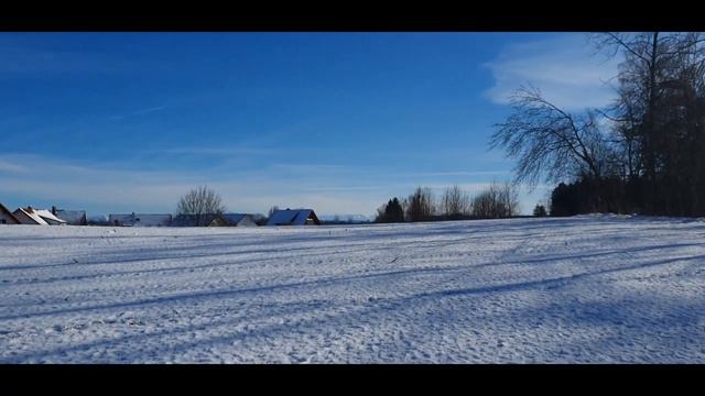 Vlog🏡| Влог: Морозная прогулка- Ласковый котик и как я кормлю домашних животных смотреть онлайн