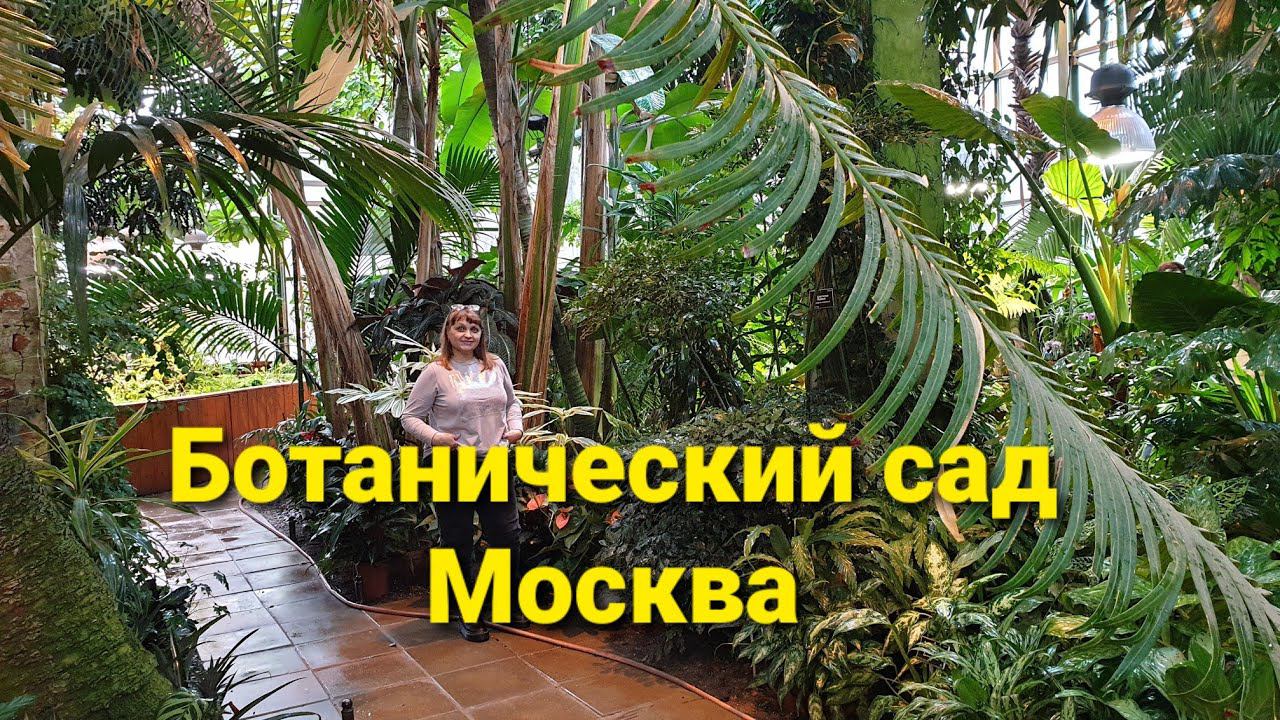 Ботанический сад в Москве