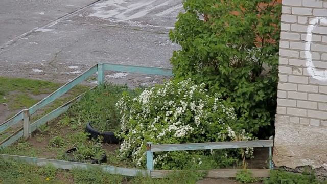 ✔ В Асино несколько дней идут дожди. ТРЗ. Май 2015 года смотреть онлайн