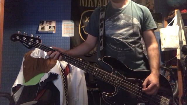 Survivor - Eye Of The Tiger (Bass Cover) смотреть онлайн