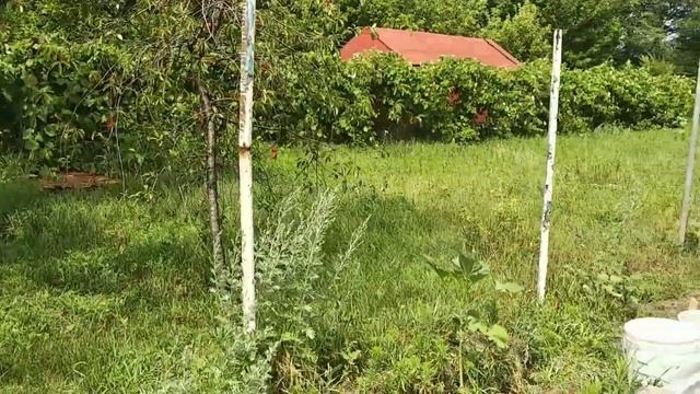 Строим дом дёшево. часть 10 + Опыт эксплуатации Бетономешалки Строймаш БСЛ-120 - г. Лебедянь смотреть онлайн