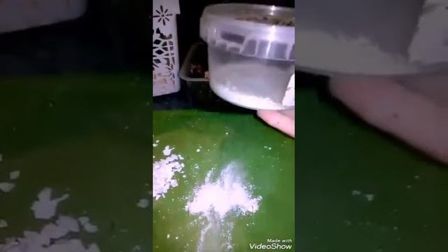 Как сделать кальций ахатине без кофемолки смотреть онлайн