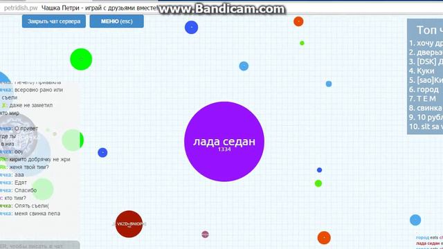 Чашка петри (агарио) смотреть онлайн