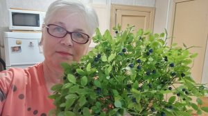 Ходили с мужем за черникой. Жарила котлеты из щуки с салом.