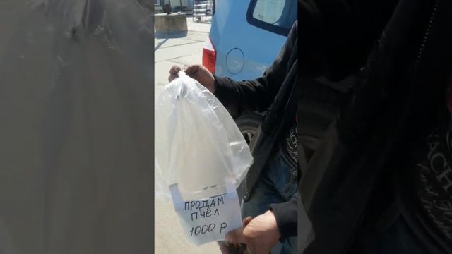 Продам пчёл, прикол ? смотреть онлайн