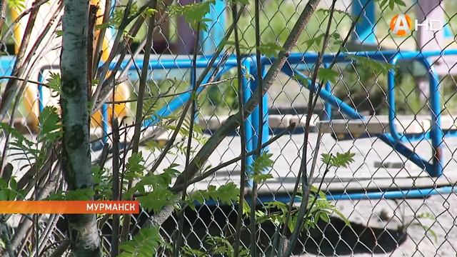 Не всем мурманчанам нравится когда наводят порядок на зелёных зона городских дворов HD720 смотреть онлайн