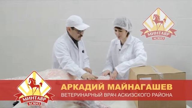 Миндибеков И.И. сюжет убойного цеха смотреть онлайн