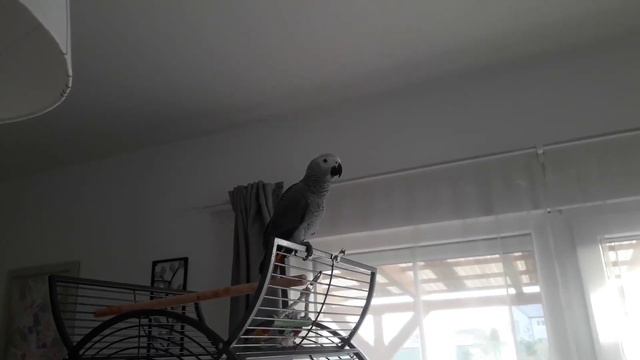 Жако Тимоша (5 месяцев). Учимся говорить смотреть онлайн