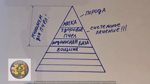 Пирамида ценностей в пчеловодстве смотреть онлайн