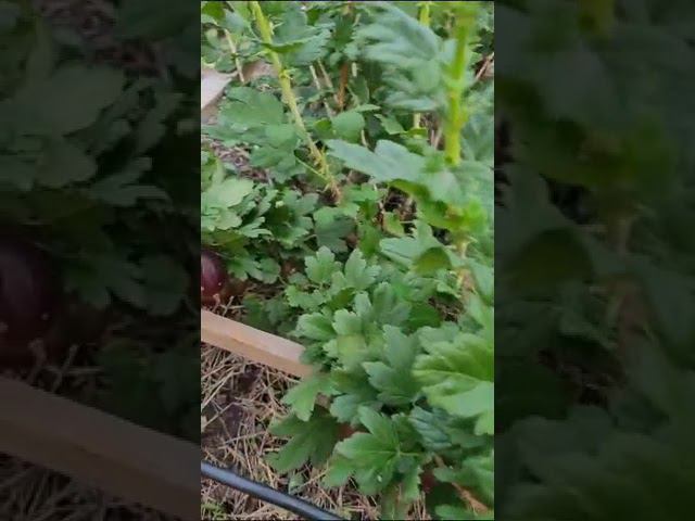 Зал славы. Татьяна, Амурская область, город Благовещенск. смотреть онлайн