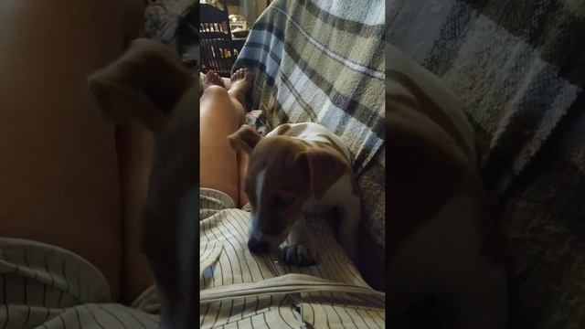 Джонни милашка 😘😘😘😘 смотреть онлайн